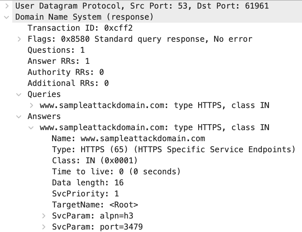 Safari DNS HTTPS query